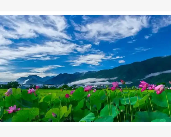 中医治愈虚劳：例析心得感悟